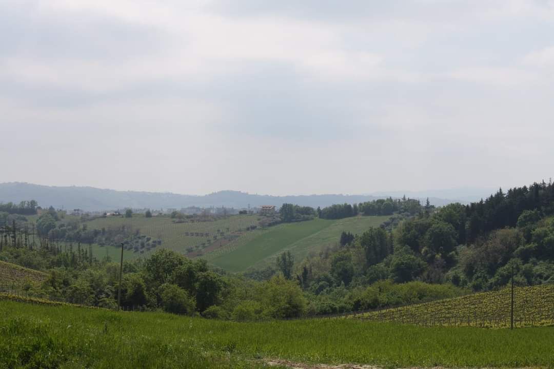 Photo of Outdoor in Spinetoli