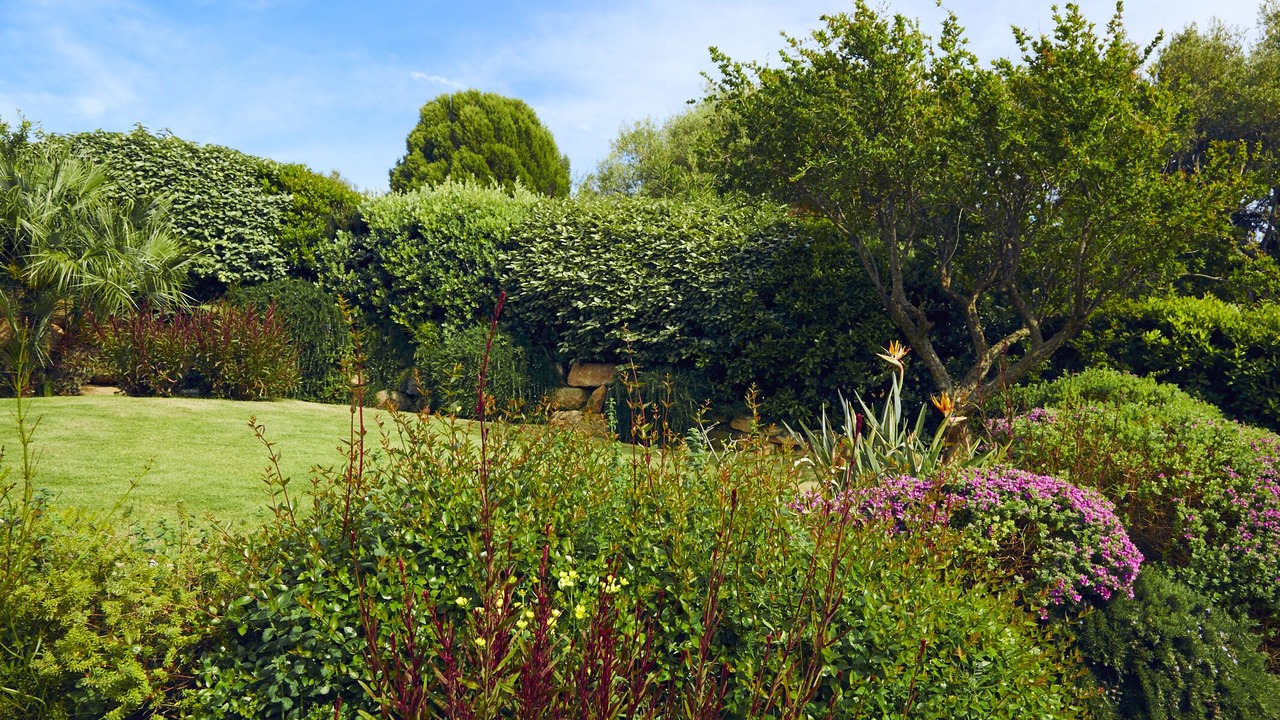 Photo of Outdoor in Chia