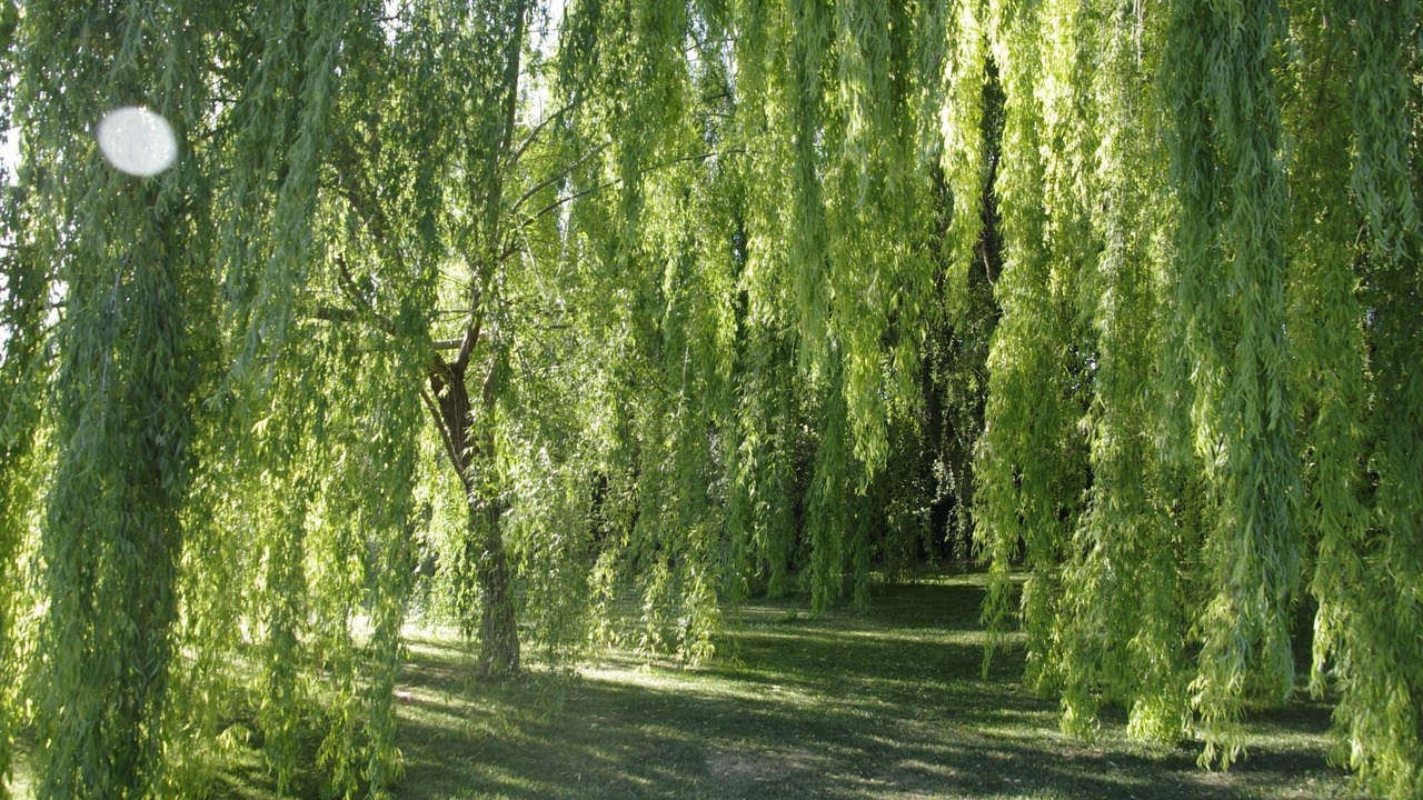 Photo of Outdoor in Corciano