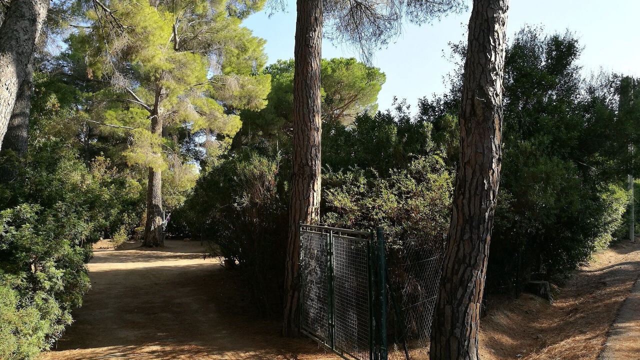Photo of Outdoor in Santa Margherita di Pula