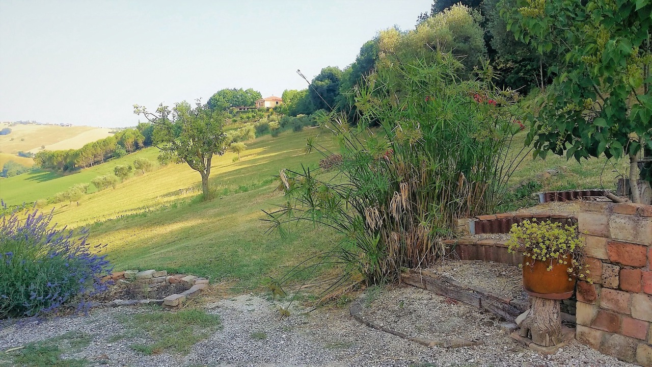 Photo of Outdoor in Mogliano