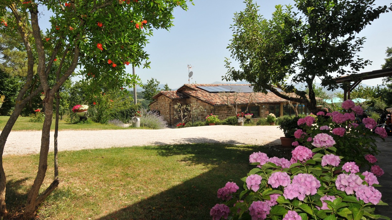 Photo of Outdoor in Monteluiano