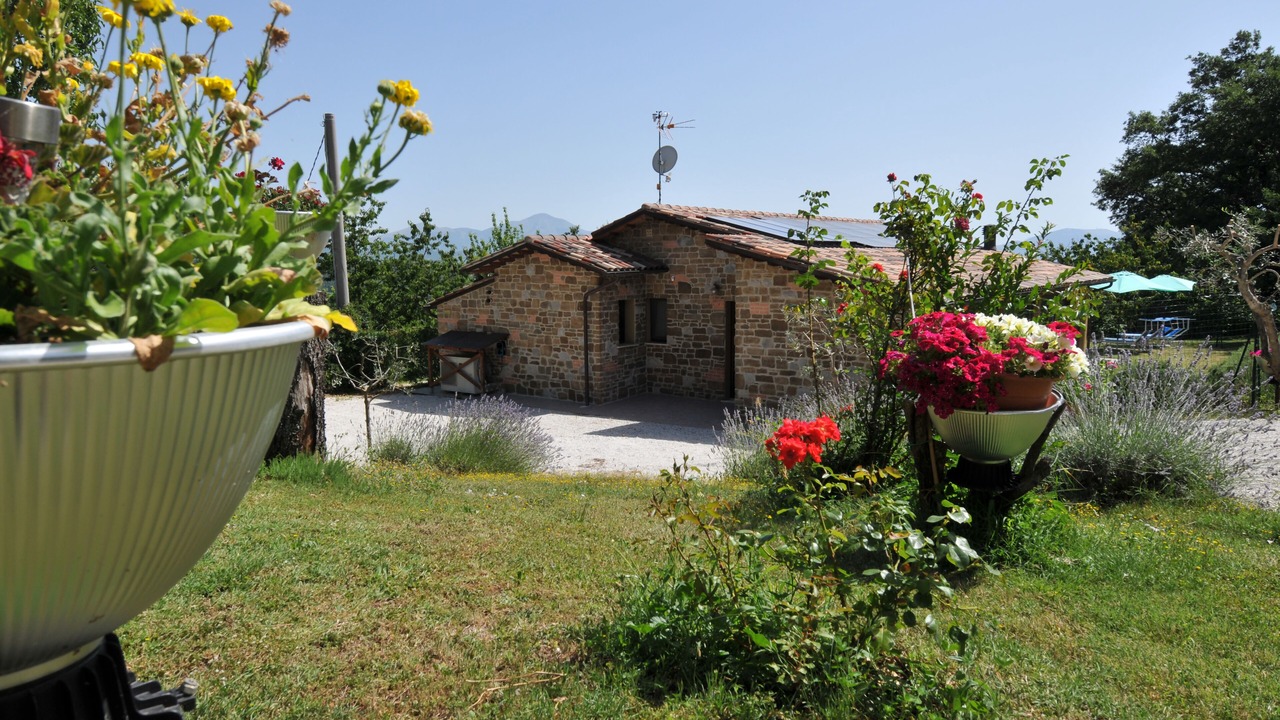 Photo of Outdoor in Monteluiano