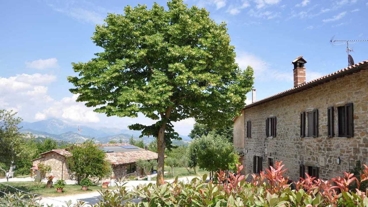 Photo of Outdoor in Monteluiano