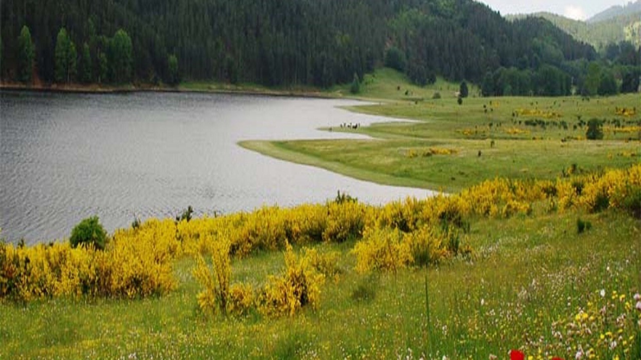 Photo of Outdoor in Camigliatello