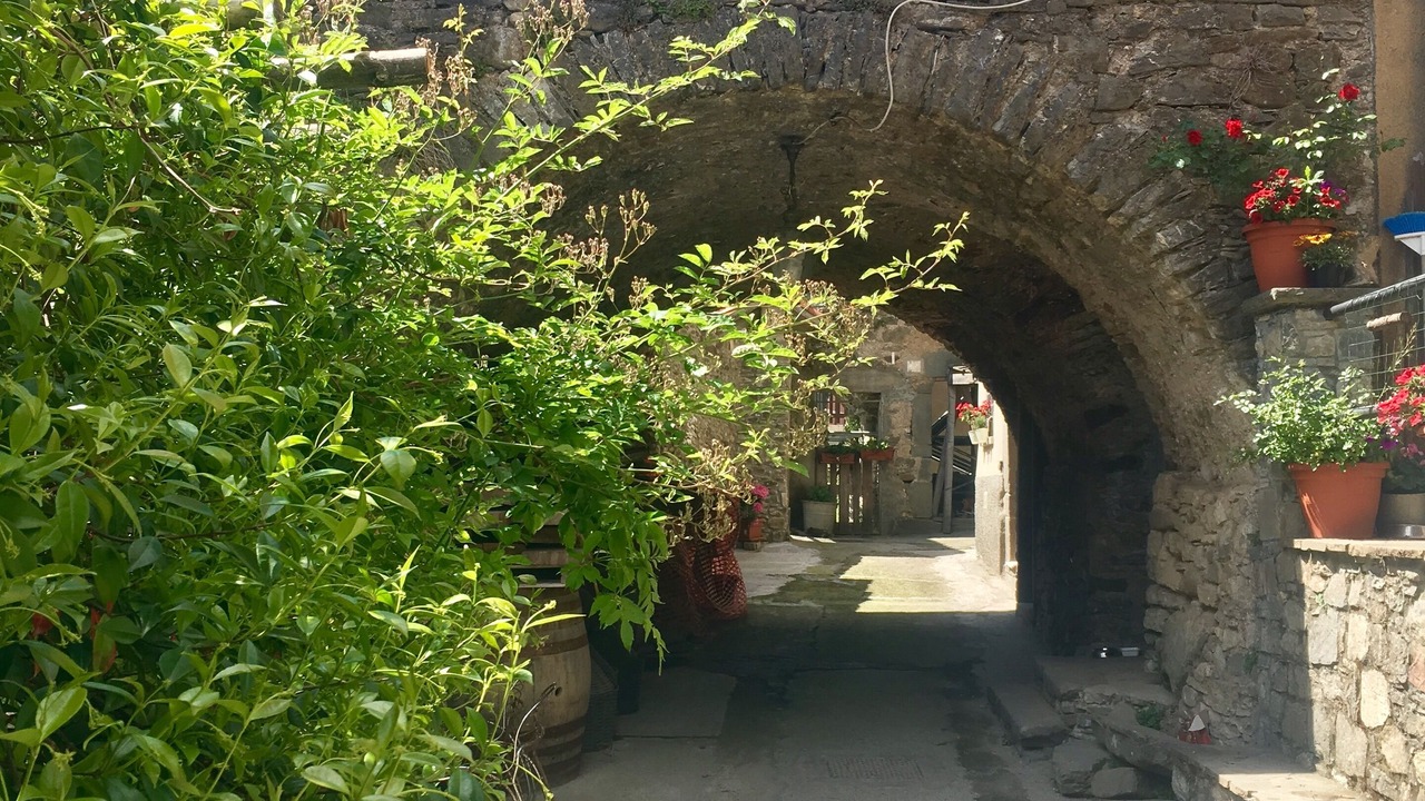 Photo of Outdoor in Casale