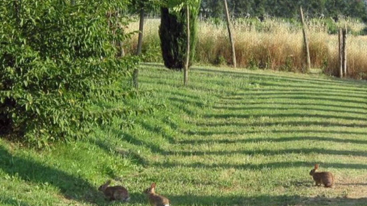 Photo of Outdoor in Corciano