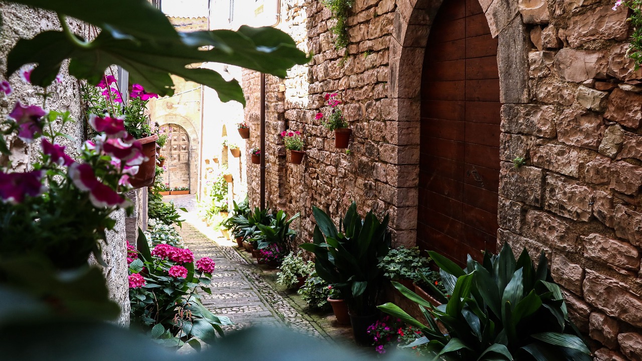 Photo of Outdoor in Spello
