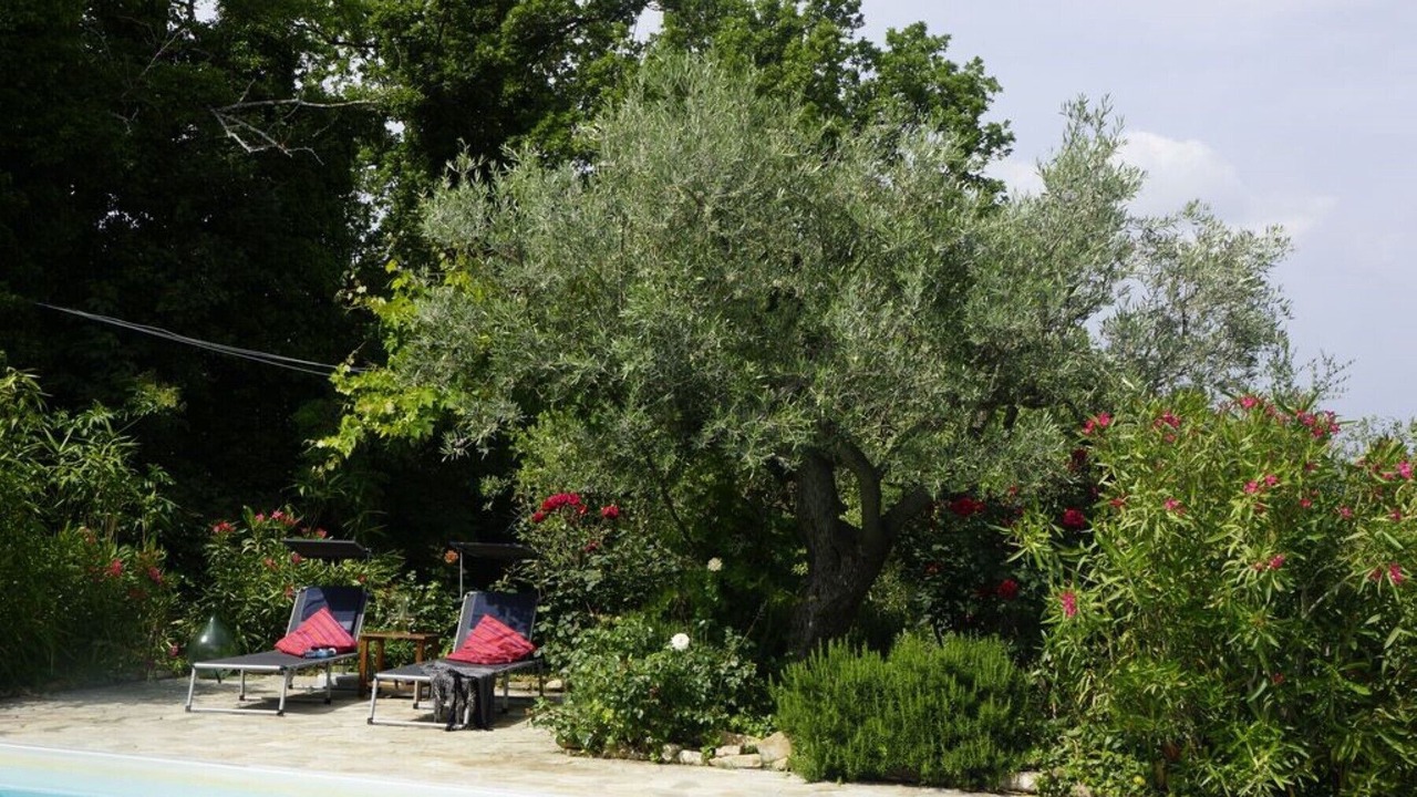 Photo of Outdoor in Cupramontana