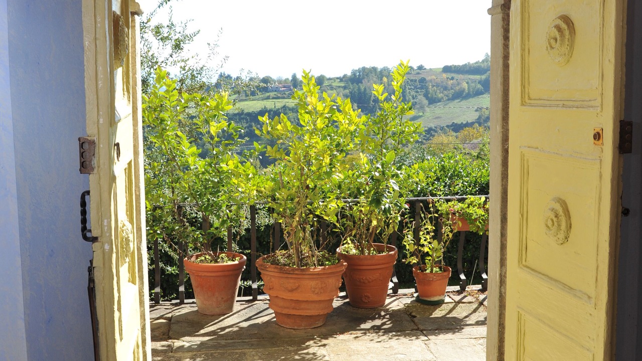 Photo of Others in Camporgiano