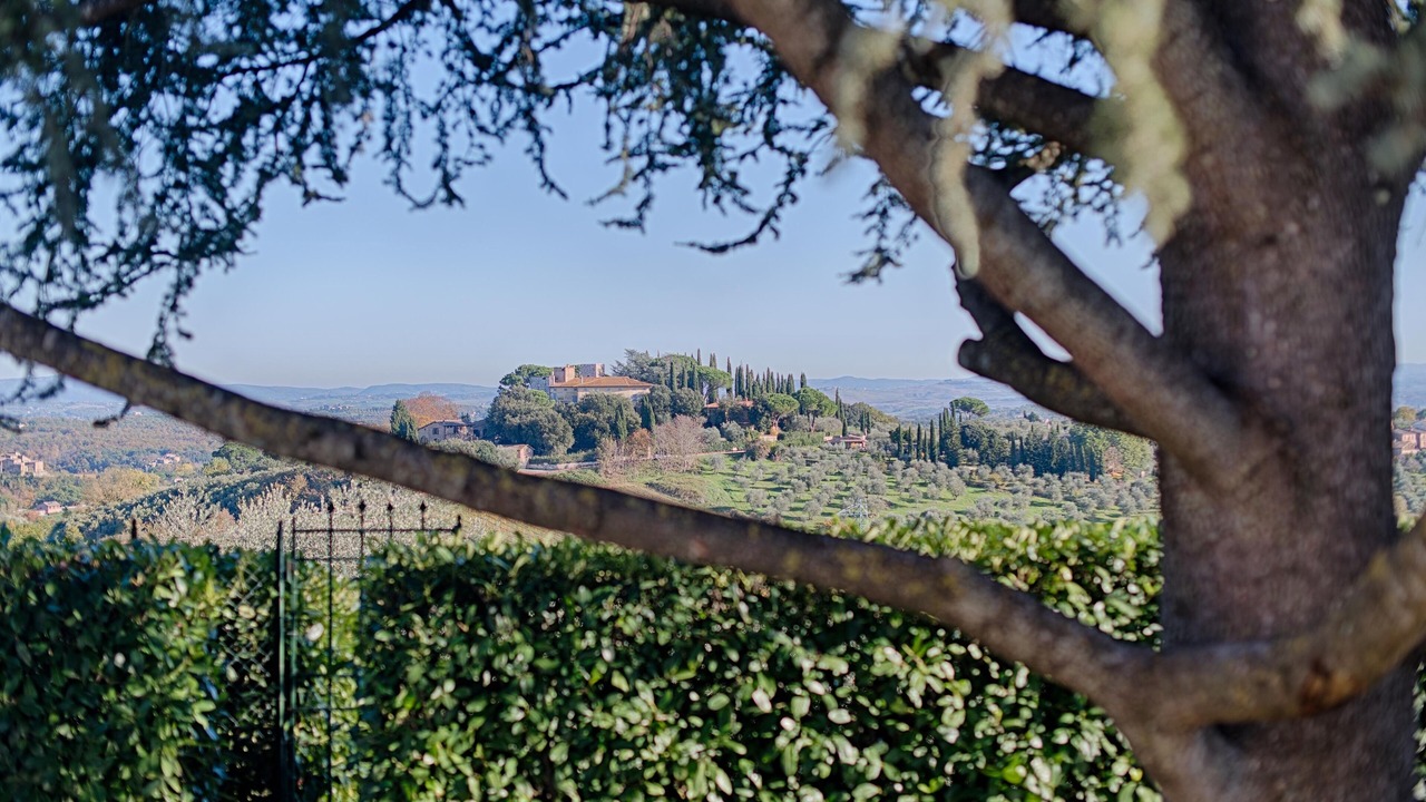 Photo of Others in Siena