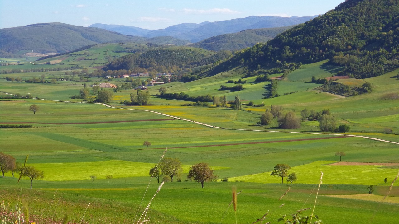 Photo of Others in Nocera Umbra