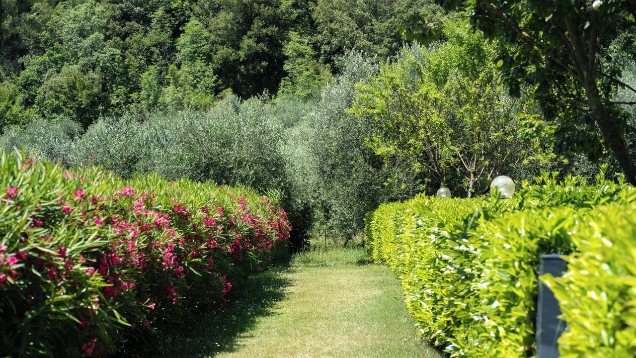 Photo of Outdoor in Precetto
