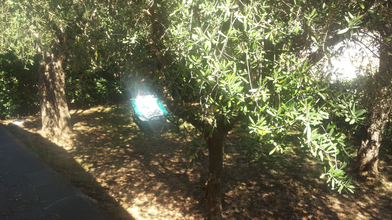 Photo of Outdoor in Querceta