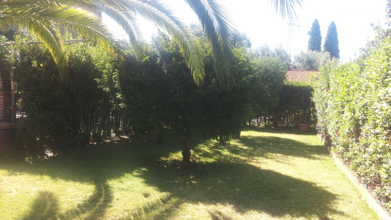 Photo of Outdoor in Querceta