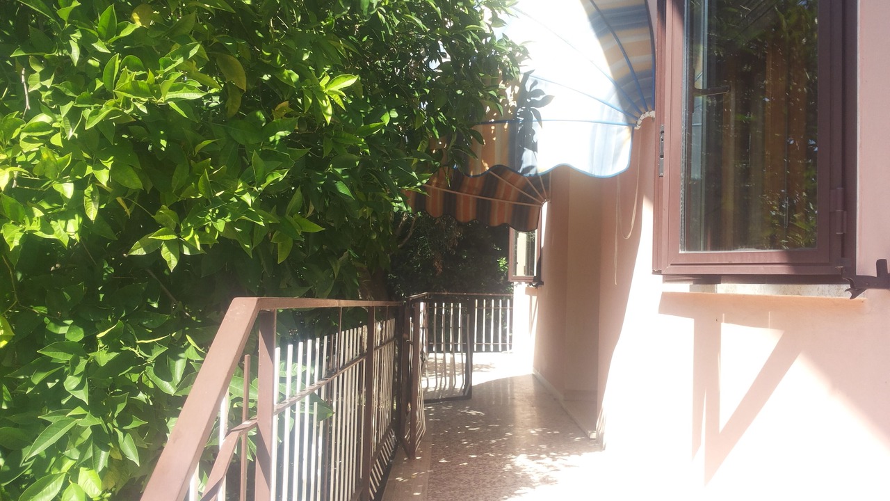 Photo of Outdoor in Querceta