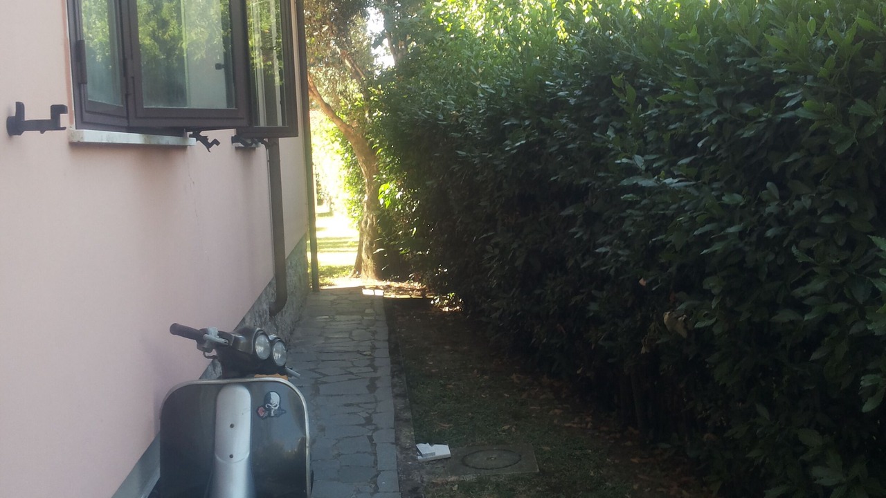 Photo of Outdoor in Querceta