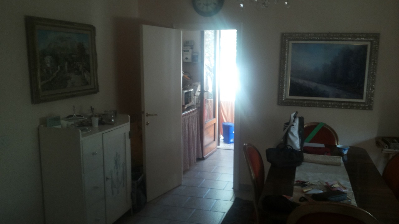 Photo of Others in Querceta