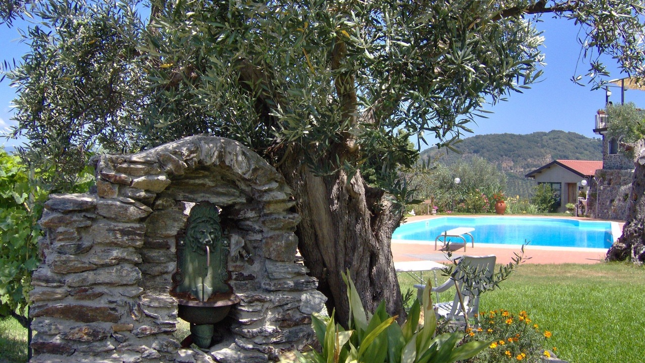 Photo of Outdoor in Nocera Terinese