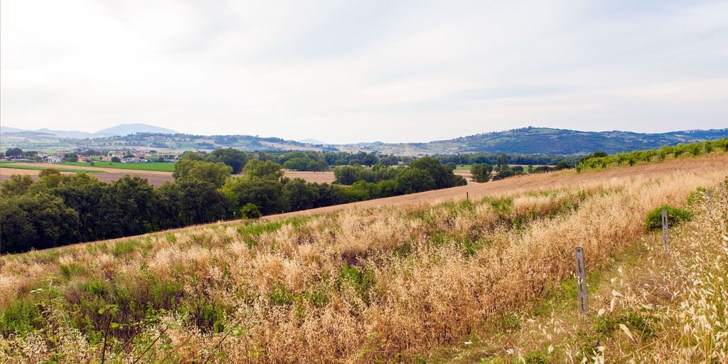 Photo of Outdoor in Lidarno