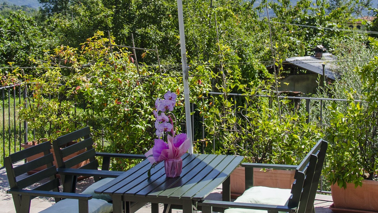 Photo of Outdoor in Villa Collemandina