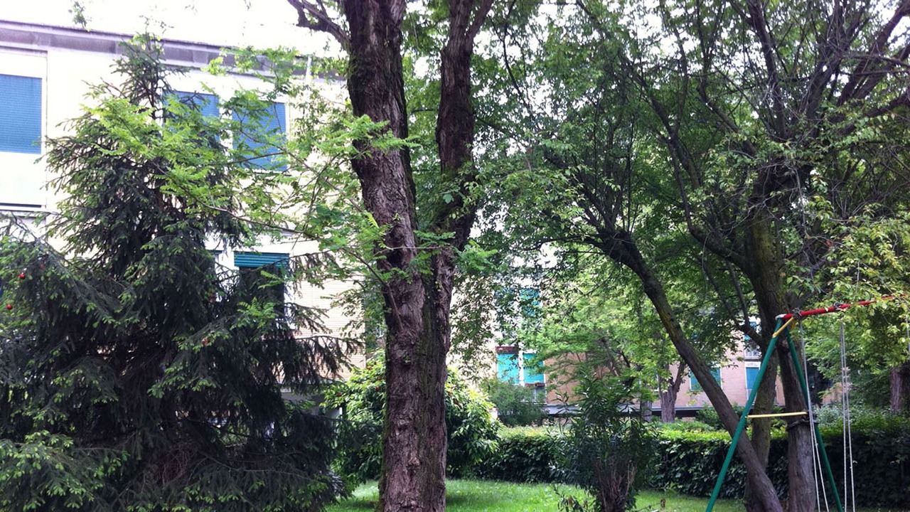 Photo of Outdoor in Parioli