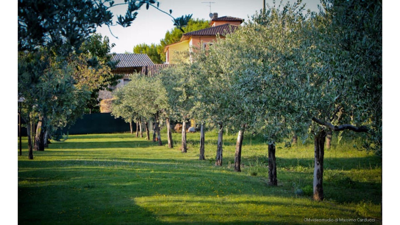 Photo of Outdoor in Pietrauta