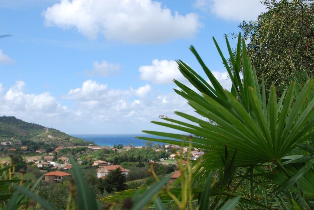 Photo of Outdoor in San Marco di Castellabate