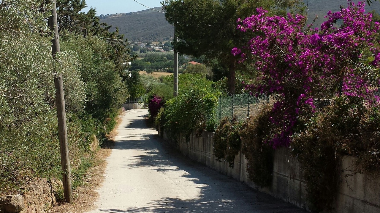 Photo of Outdoor in San Marco di Castellabate