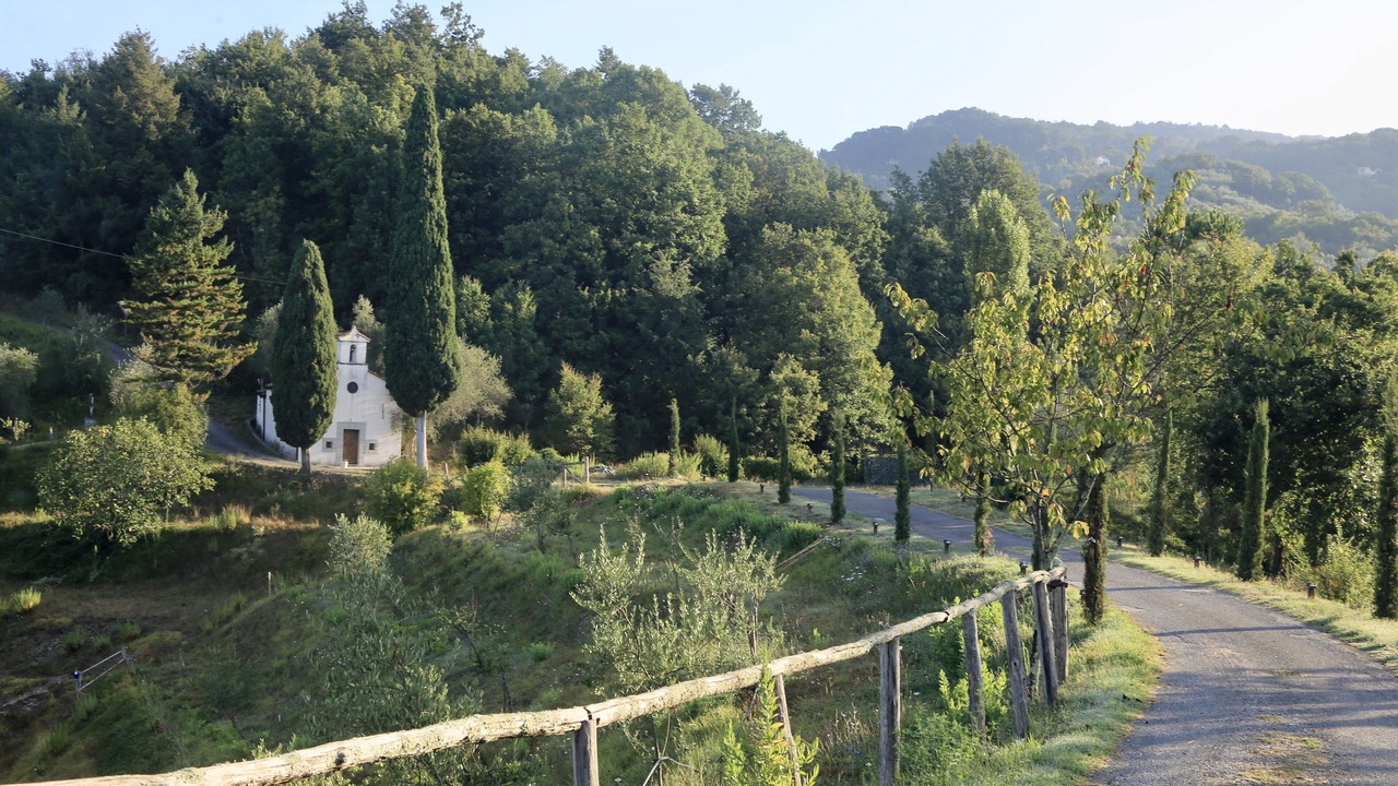 Photo of Outdoor in Licciana Nardi