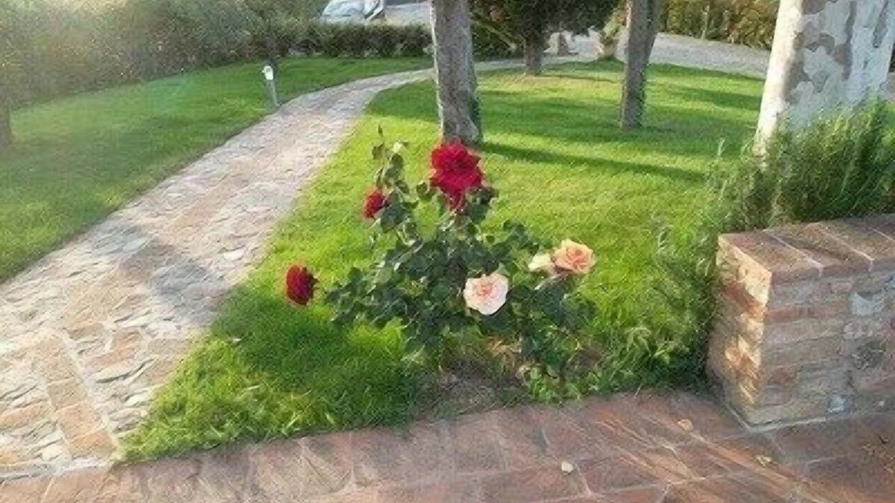Photo of Outdoor in Gambassi Terme