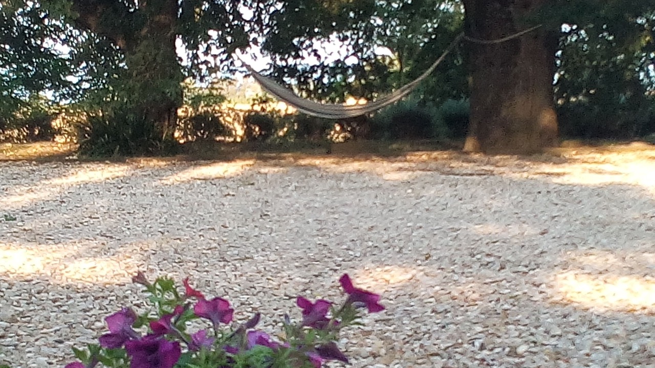 Photo of Others in Orvieto
