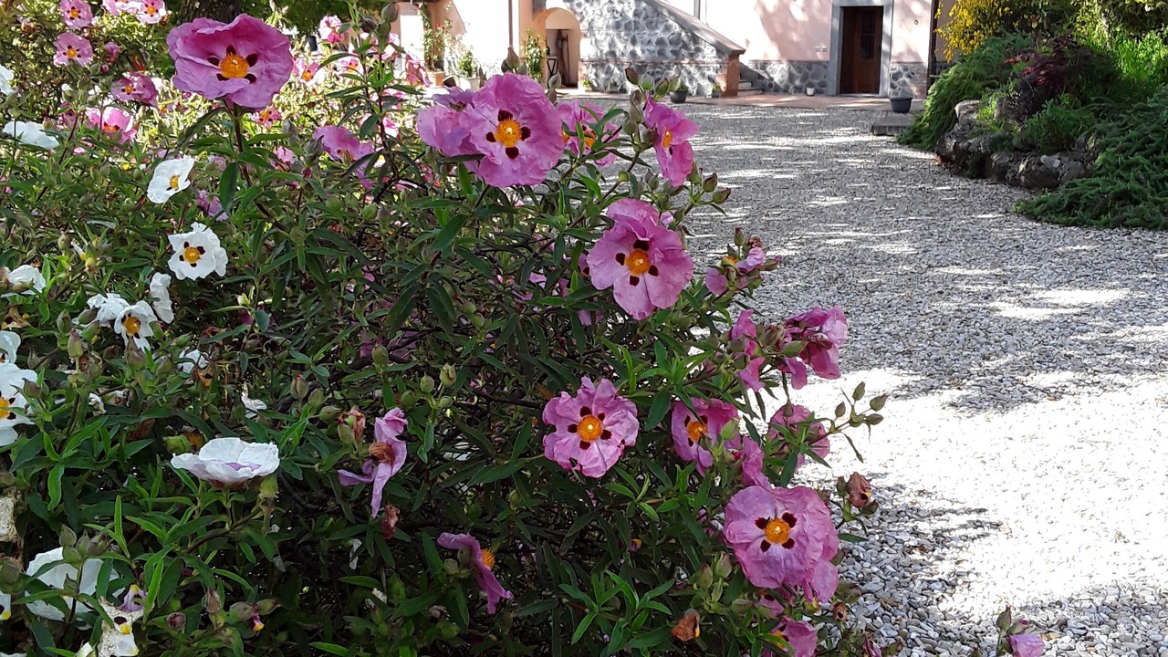 Photo of Outdoor in Orvieto