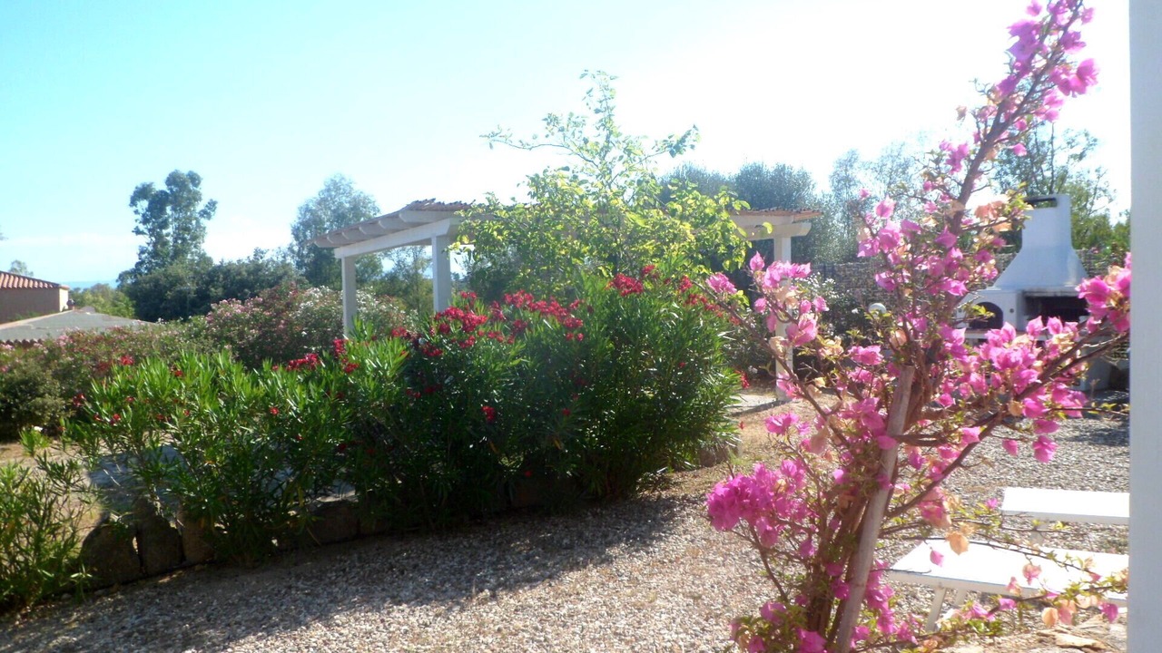 Photo of Outdoor in Cala Liberotto