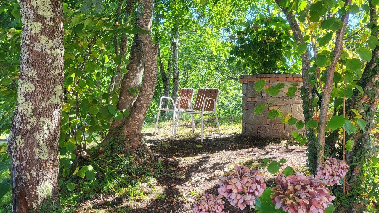 Photo of Outdoor in Camporgiano