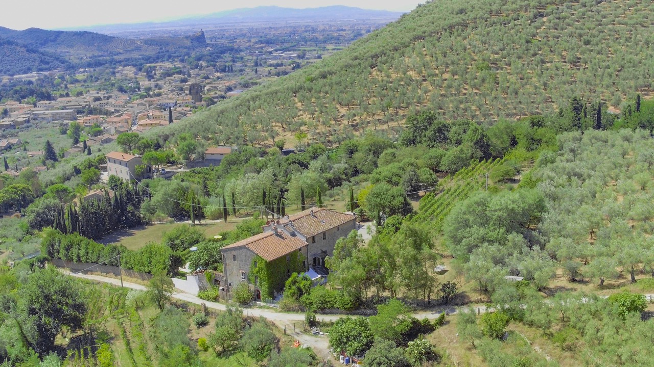Photo of Outdoor in Calci