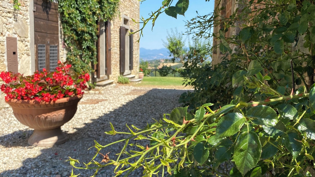 Photo of Outdoor in Monte Santa Maria Tiberina
