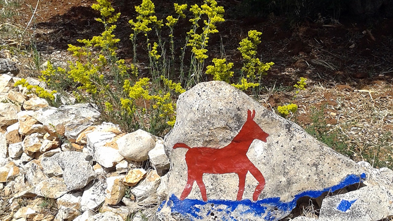 Photo of Outdoor in Francavilla Fontana