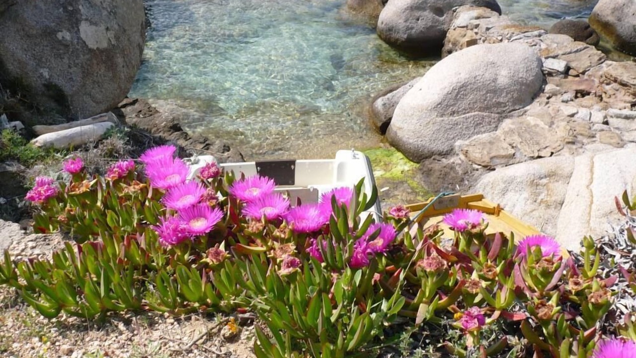 Photo of Outdoor in Capo Testa