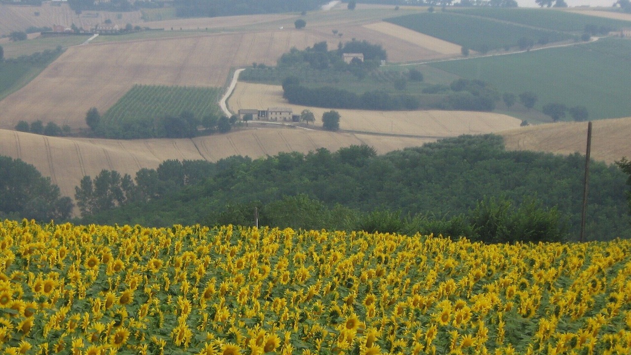 Photo of Outdoor in Appignano