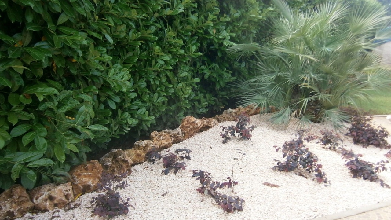 Photo of Outdoor in Montesiro