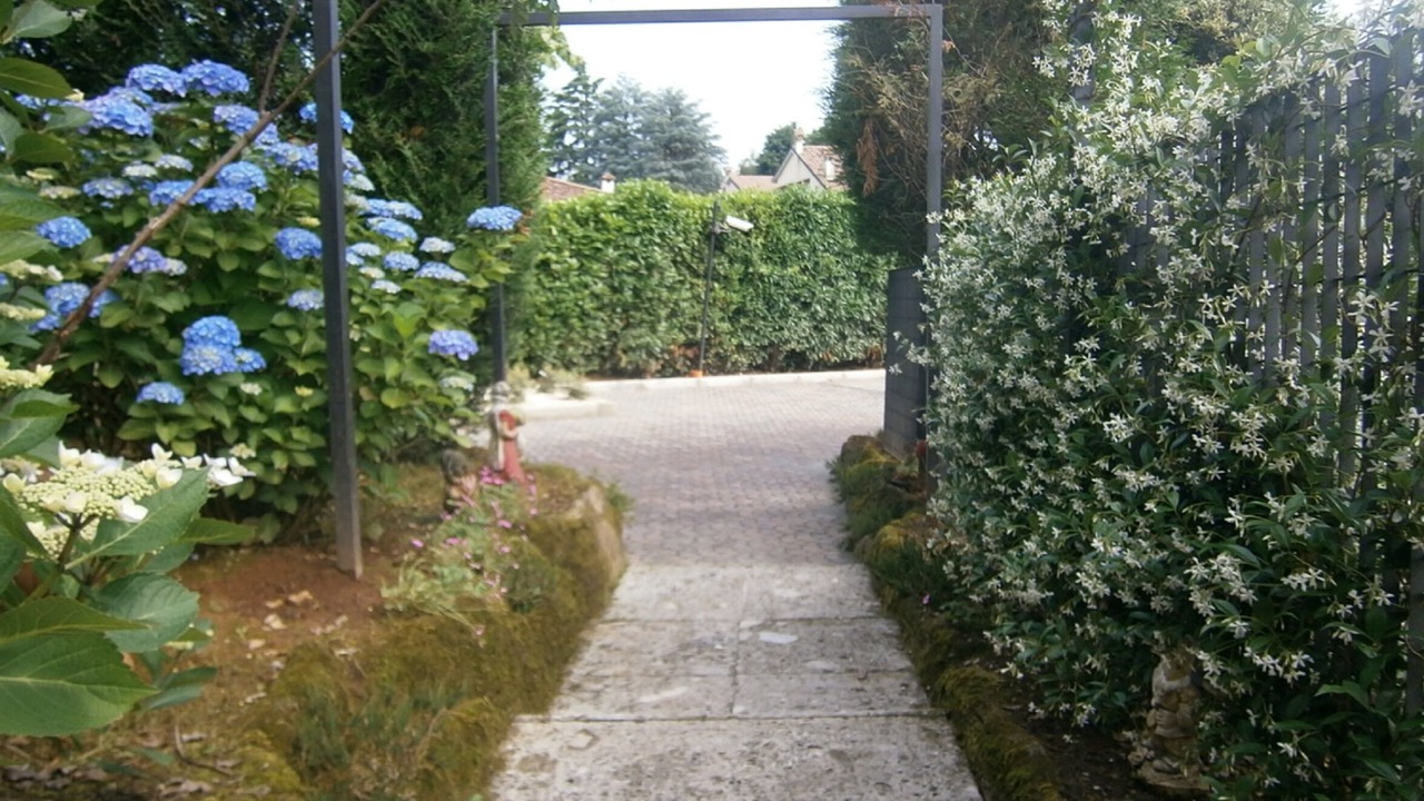 Photo of Outdoor in Montesiro