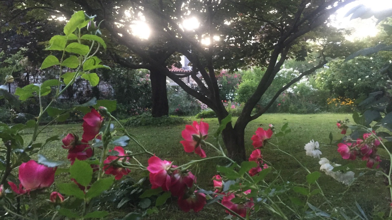 Photo of Outdoor in Moimacco