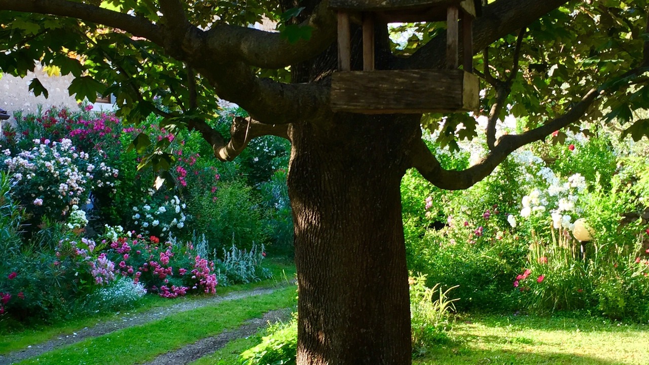 Photo of Outdoor in Moimacco