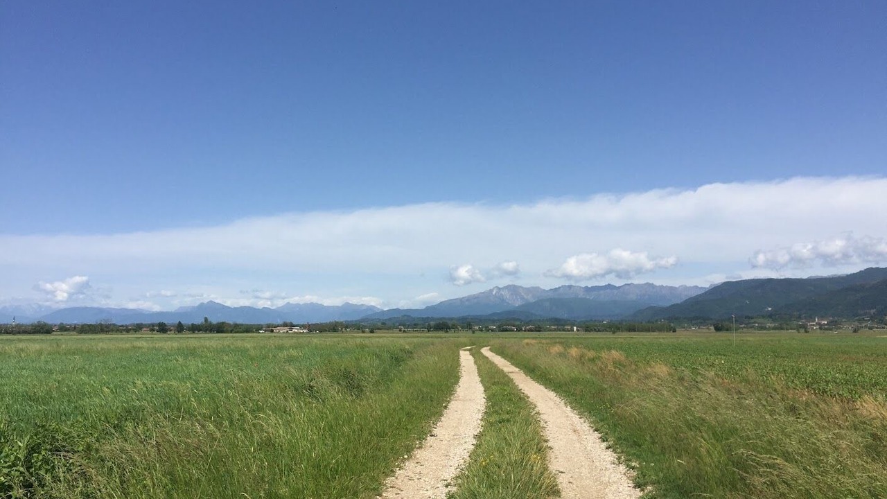 Photo of Outdoor in Moimacco