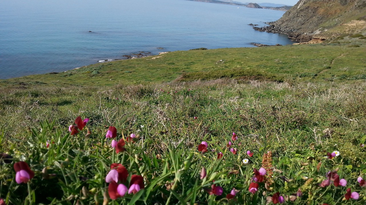 Photo of Outdoor in Sassari
