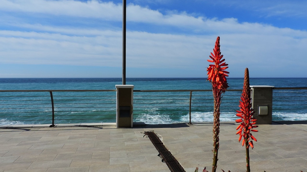 Photo of Patio Balcony in Deiva Marina