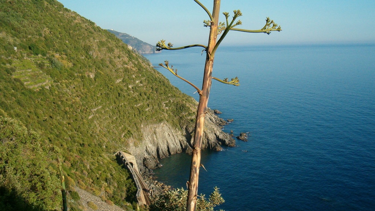 Photo of Others in Deiva Marina