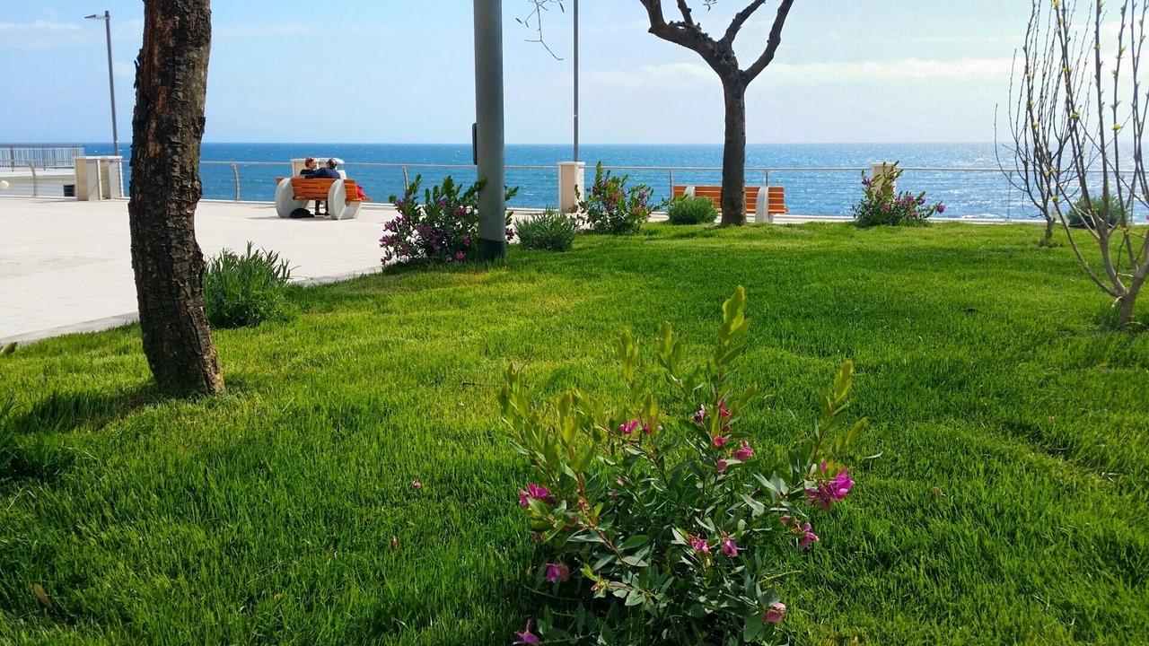 Photo of Patio Balcony in Deiva Marina
