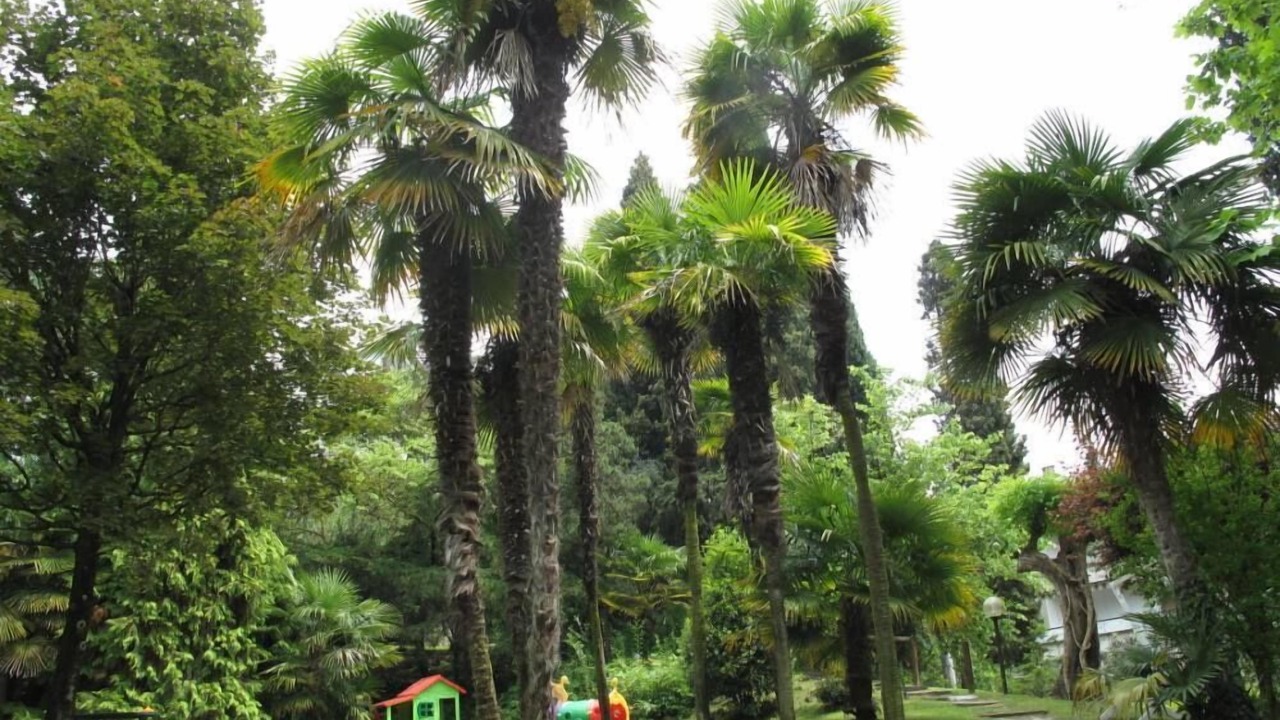 Photo of Outdoor in Corno